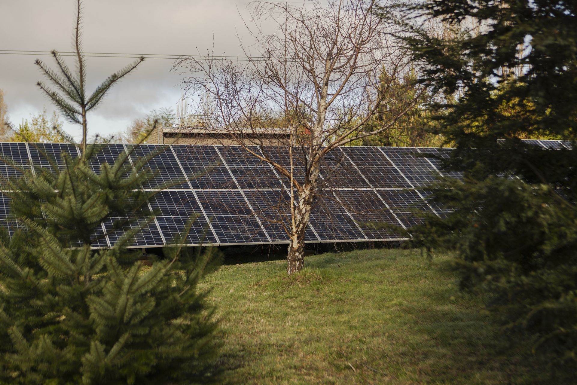 Planta solar fotovoltaica de 110&nbsp;kW de AWA en la huerta