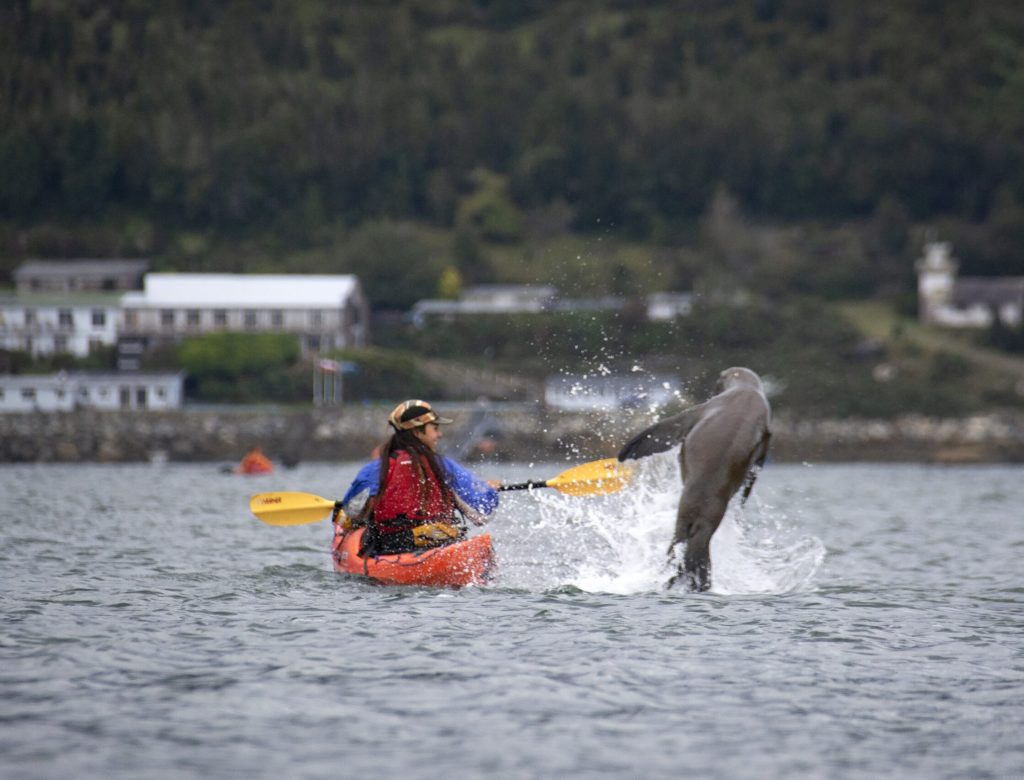 Chile2023BTH_00286_DSC_6386