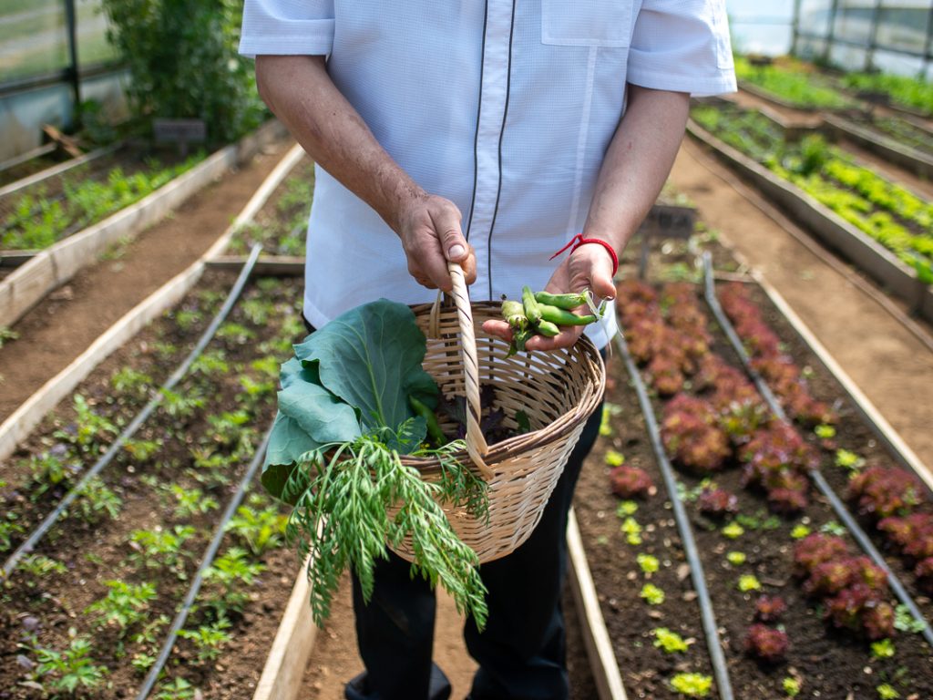 Farm to table 0(1)